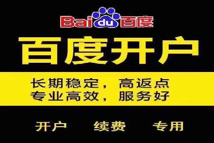 百度竞价策略解析：案例分析及优化建议